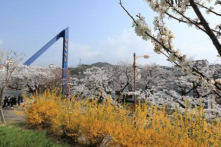 천안캠퍼스 전경 